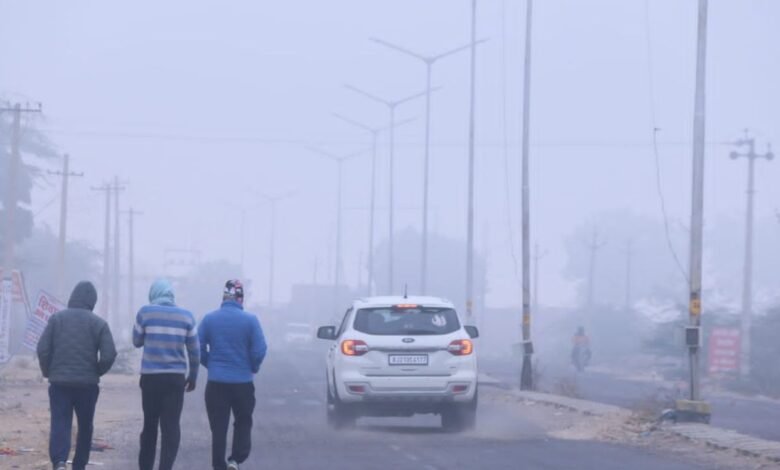 Rajasthan Weather Today: सीकर में पड़ी कड़ाके की ठंड, मौसम विभाग का येलो अलर्ट, सुबह शाम शीतलहर से जनजीवन बेहाल