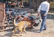 Kota Collectorate Bomb Threat: ईमेल में बम धमाका! कोटा कलेक्टरेट खाली कराया गया, बड़ा रहस्य क्या छिपा है?