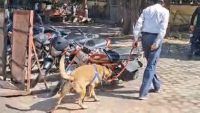 Kota Collectorate Bomb Threat: ईमेल में बम धमाका! कोटा कलेक्टरेट खाली कराया गया, बड़ा रहस्य क्या छिपा है?