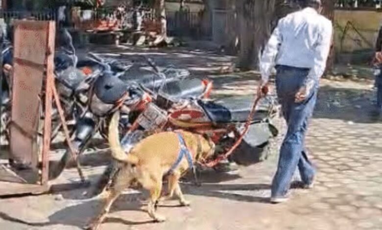 Kota Collectorate Bomb Threat: ईमेल में बम धमाका! कोटा कलेक्टरेट खाली कराया गया, बड़ा रहस्य क्या छिपा है?